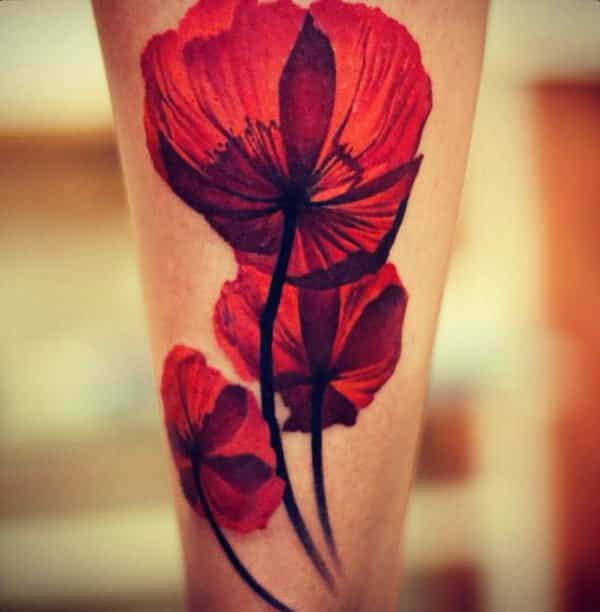 Darkside Tattoo  Tattoos  Daniel Adamczyk  Color Poppies Tattoo