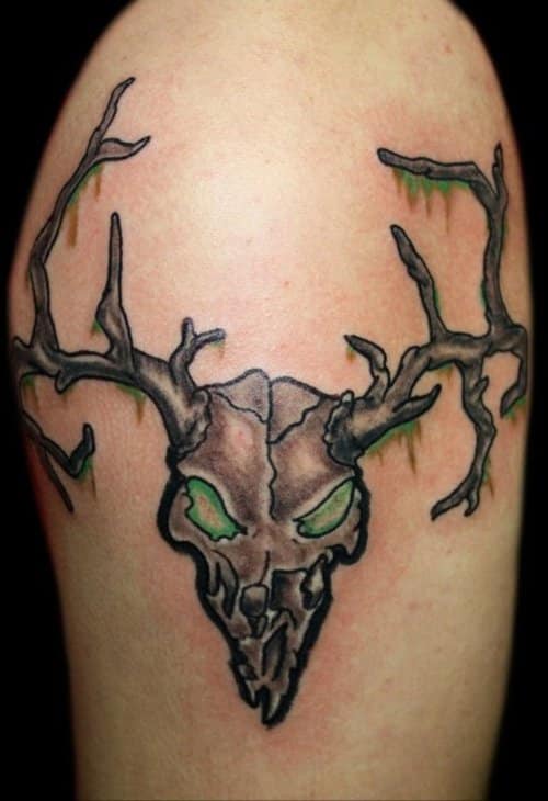 deer-skull