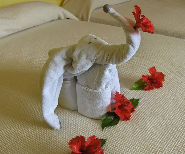 elephant-hotel-towel
