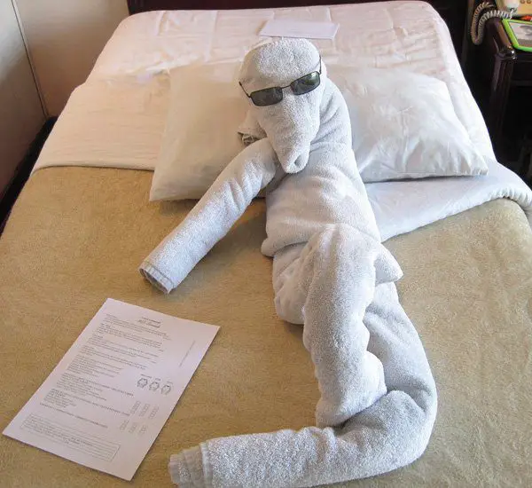 entertaining-human-towel