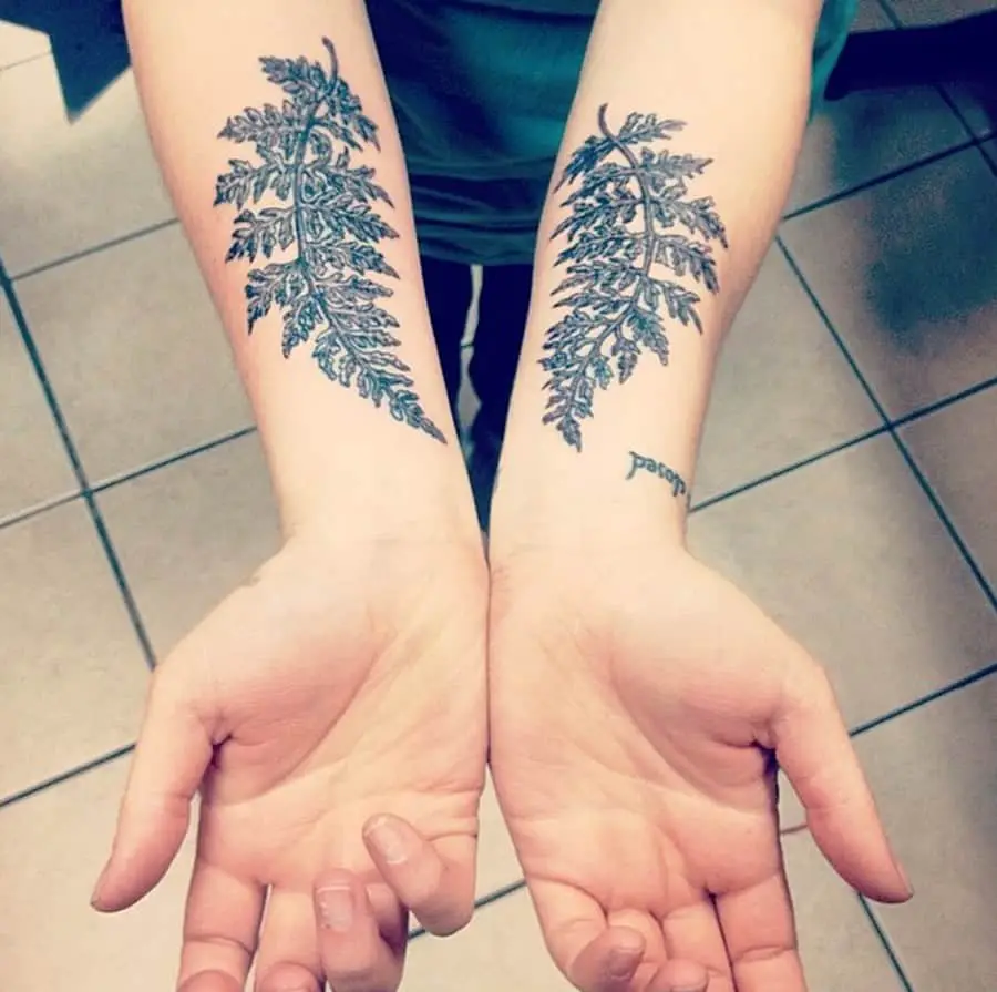 forearm-fern-tattoo