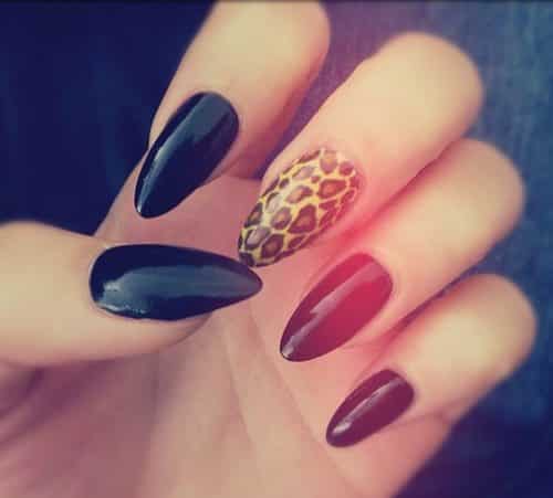 leopard