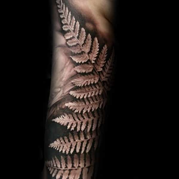 Silver Fern Tattoo  Best Tattoo Ideas Gallery