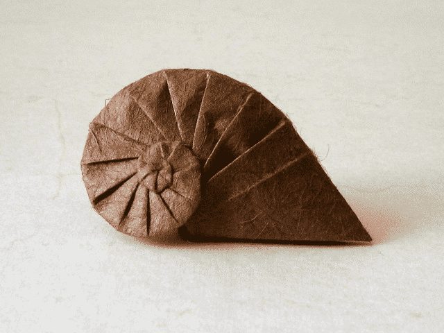 origami-shell
