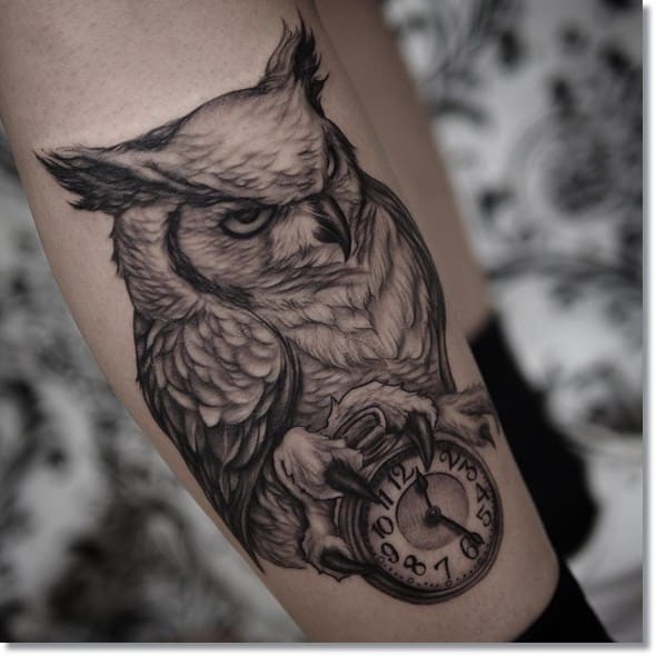 pocket-watch-owl