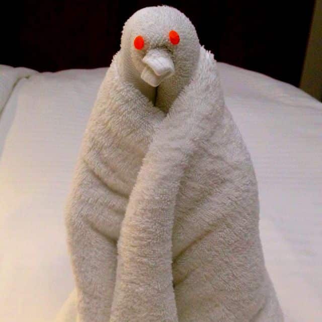 red-eyed-bird-towel