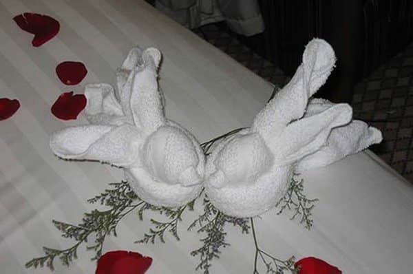 towel-doves