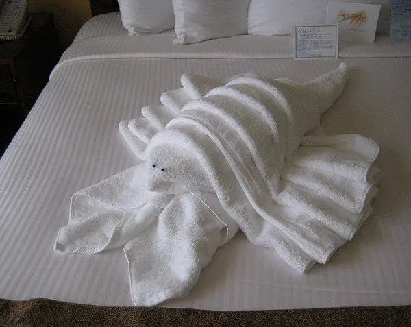 towel-lobster