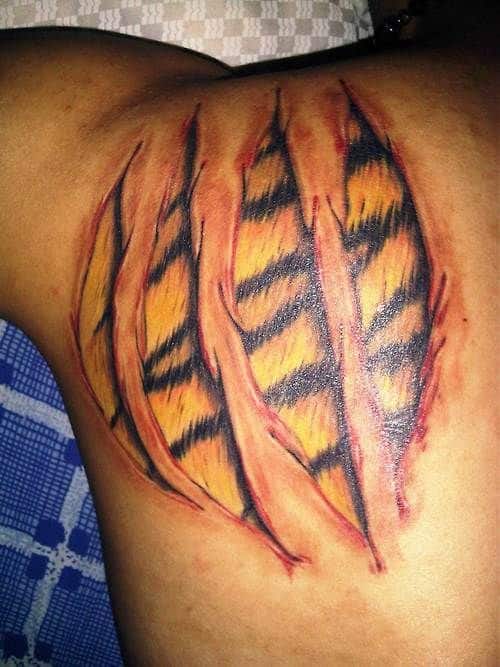 12 Scratch Mark Tattoos  Tiger Tattoo Designs  PetPress
