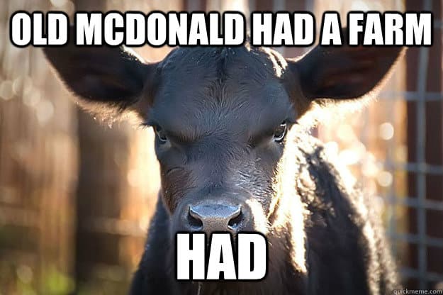 Cow Meme 10