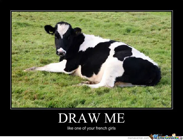 Cow meme