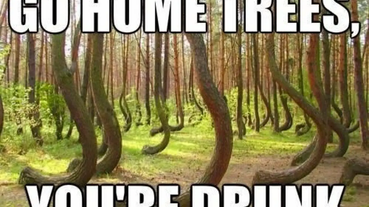 9 Tree Memes That Are Actually Pretty Funny