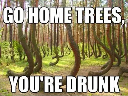 9 Tree Memes, That Are Actually Pretty Funny Design Press