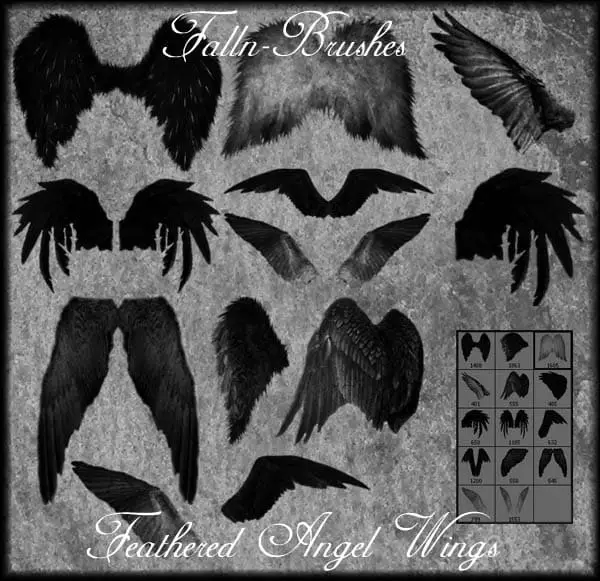 Feathered Angel Wings Brushes free photoshop brushes