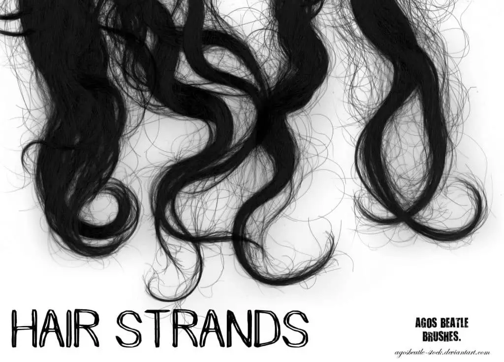 Hair strands free photoshop brushes