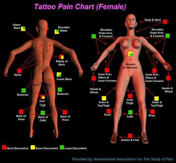 Tattoo Pain Chart Where It Hurts Most and Least and More